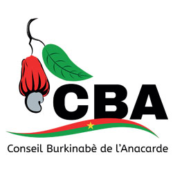 Bobo-Dioulasso : Le Conseil Burkinabè de l’Anacarde et la Chambre Nationale d’Agriculture nouent un partenariat.