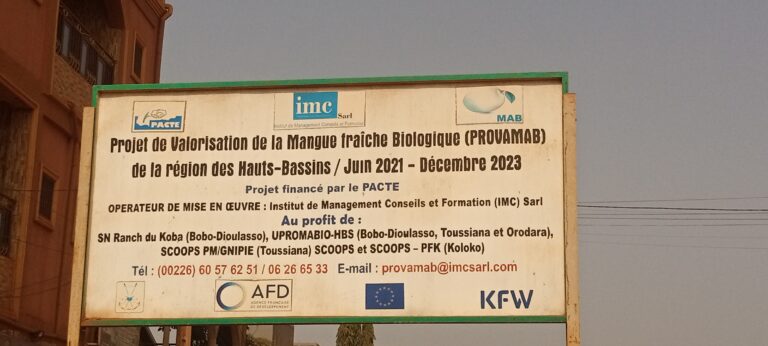 A Bandougou, un projet veut valoriser la production de mangue fraiche !