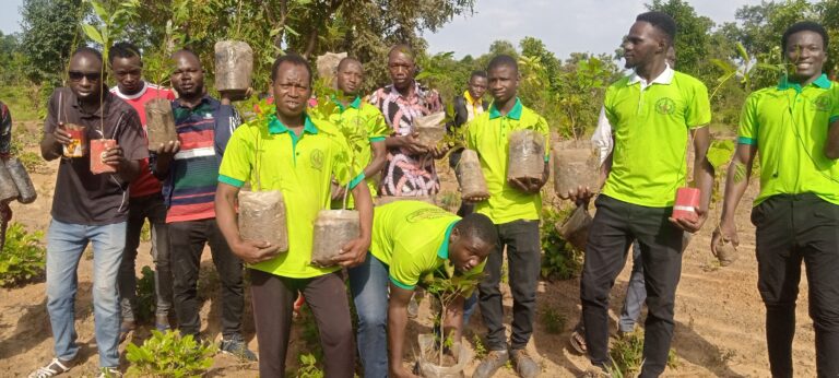 Dans la forêt classée de Dindérésso : L’association « chez nous à Bobo » freine l’avancée du désert en plantant des arbres